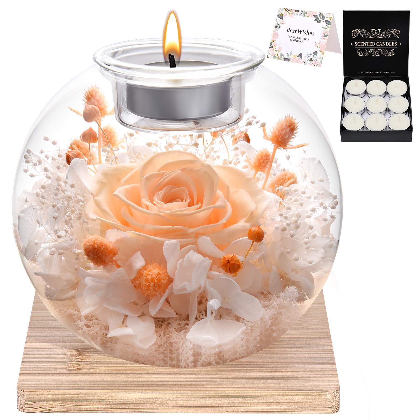 Preserved Roses - Birthday Gifts for Her, Preserved Flower in Glass Dome with Scented, Romantic Gifts for Women, Wife, Girlfriend on Birthday, Anniversary, Thanksgiving Day, Christmas Day-champagne