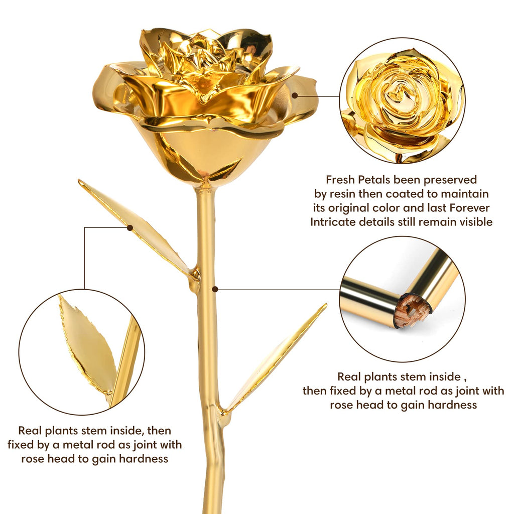 Anthonic Gold Dipped Rose Real 24K Gold Rose, Genuine One of a Kind Rose Hand Dipped in 24K Golden Roses Romantic Gifts for Women in Her Birthday Anniversary Day Mothers Day