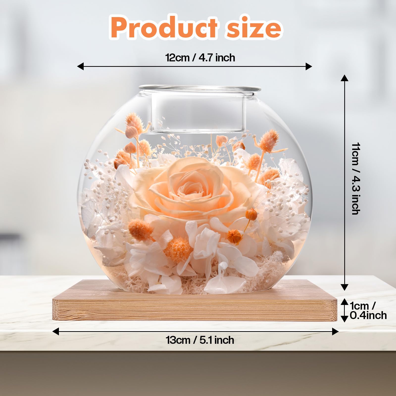 Preserved Roses - Birthday Gifts for Her, Preserved Flower in Glass Dome with Scented, Romantic Gifts for Women, Wife, Girlfriend on Birthday, Anniversary, Thanksgiving Day, Christmas Day-champagne