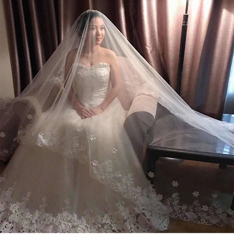New Style Veil Korean Lace Petal Veil
